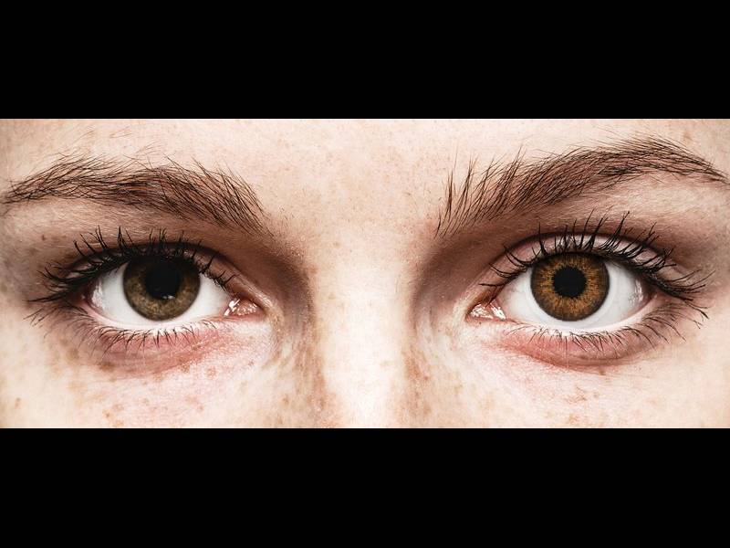 Air Optix Colors - Brown - Sin graduar (2 lentillas)