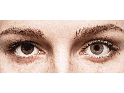 TopVue Color - Brown - Sin graduar (2 lentillas)