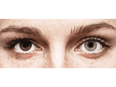 TopVue Color - Grey - Sin graduar (2 lentillas)