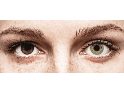 TopVue Color - Green - Sin graduar (2 lentillas)