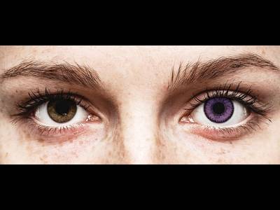 Lentillas soflens 2025
