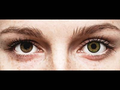 FreshLook One Day Color Green - Sin graduar (10 lentillas)