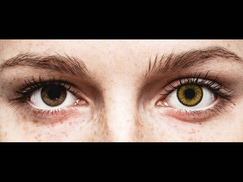 SofLens Natural Colors Dark Hazel Sin graduar 2 lentillas