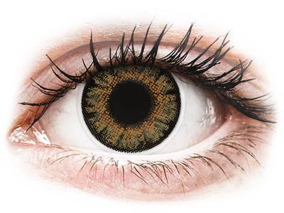 ColourVue One Day TruBlends Rainbow 1 - Sin graduar (10 lentillas) - ColourVue One Day TruBlends Rainbow 1 -  Brown