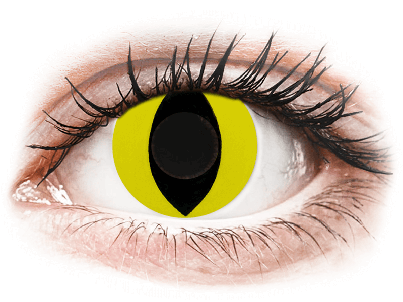 CRAZY LENS - Cat Eye Yellow - Diarias sin graduación (2 Lentillas) - Lentillas de colores