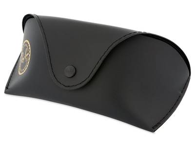 Ray-Ban RB2027 - W1847 - Original leather case (illustration photo)