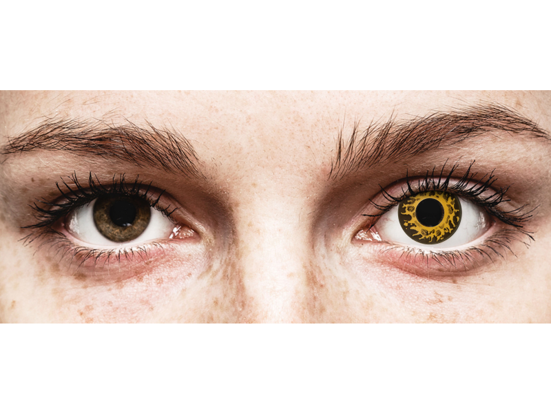 CRAZY LENS - Cheetah - Diarias sin graduación (2 Lentillas)