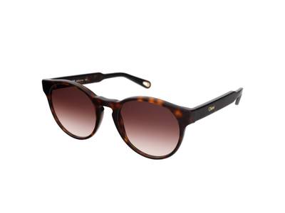 Chloe CE753S 219