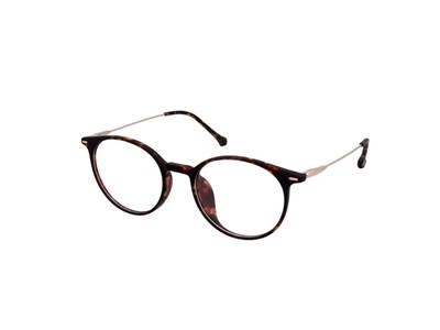 Gafas para trabajar en el ordenador Crullé S1729 C3