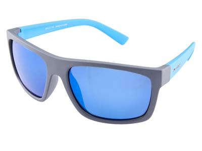 Blizzard POL603 008