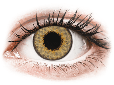TopVue Daily Color - Brown - Diarias sin graduación