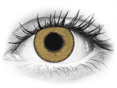 TopVue Daily Color Pure Hazel Diarias sin graduaci n 2