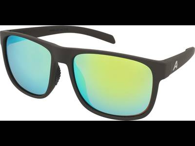 Alpina Nacan III Coffee Grey Matt